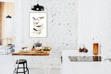 Load image into Gallery viewer, Lazuli Finch Clay-Coloured Finch and Oregon Snow Finch Print by John Audubon