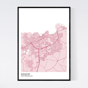 Bangor City Map Print