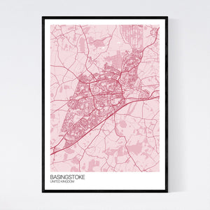 Basingstoke City Map Print