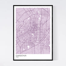 Load image into Gallery viewer, Changchun City Map Print
