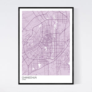 Changchun City Map Print