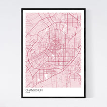 Load image into Gallery viewer, Changchun City Map Print