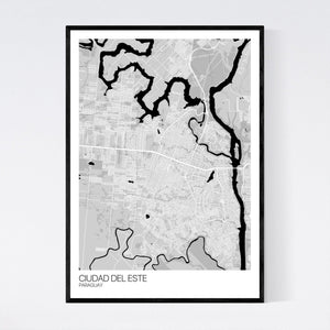 Ciudad del Este City Map Print