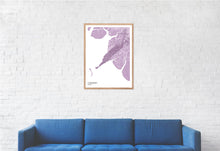 Load image into Gallery viewer, Map of Conakry, Guinea