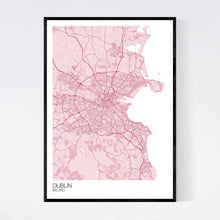 Load image into Gallery viewer, Dublin City Map Print