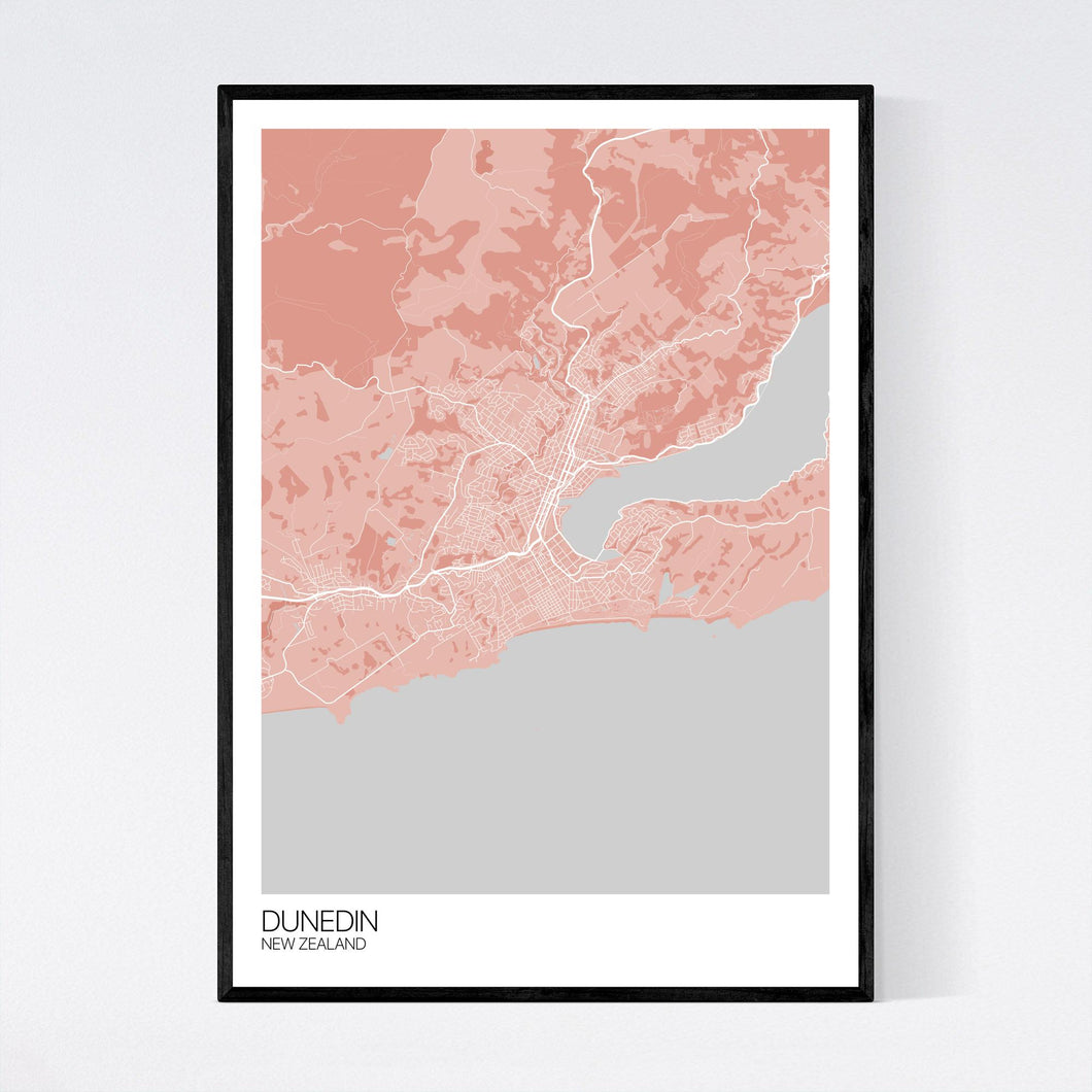 Dunedin City Map Print