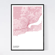 Load image into Gallery viewer, Dunedin City Map Print