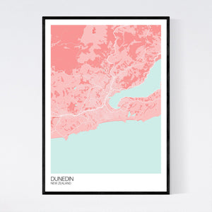 Dunedin City Map Print