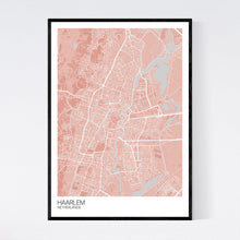 Load image into Gallery viewer, Haarlem City Map Print