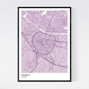 Hasselt City Map Print