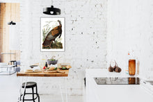 Load image into Gallery viewer, Wild Turkey Print by John Audubon