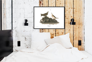 Brown Lark Print by John Audubon