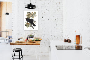Raven Print by John Audubon