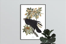 Load image into Gallery viewer, Raven Print by John Audubon