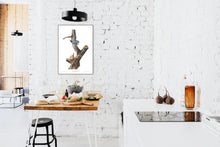 Load image into Gallery viewer, Red-Breasted Nuthatch Print by John Audubon