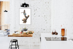 Red-Breasted Nuthatch Print by John Audubon