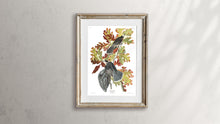 Load image into Gallery viewer, Canada Jay Print by John Audubon