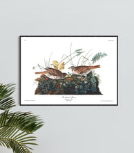 Load image into Gallery viewer, Fox-Coloured Sparrow Print by John Audubon