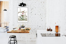 Load image into Gallery viewer, Savannah Finch Print by John Audubon