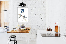 Load image into Gallery viewer, Blue-Bird Print by John Audubon