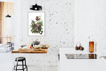 Load image into Gallery viewer, Ferruginous Thrush Print by John Audubon