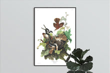 Load image into Gallery viewer, Ferruginous Thrush Print by John Audubon