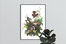 Load image into Gallery viewer, Ferruginous Thrush Print by John Audubon