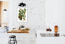 Load image into Gallery viewer, Baltimore Oriole Print by John Audubon