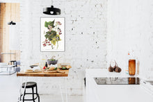 Load image into Gallery viewer, Black and Yellow Warbler Print by John Audubon