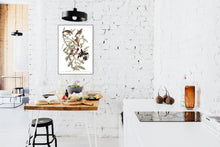 Load image into Gallery viewer, Rose-Breasted Grosbeak Print by John Audubon