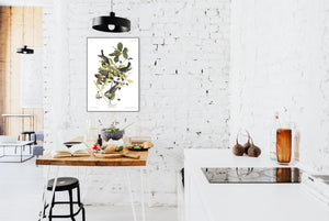 Black-Poll Warbler Print by John Audubon