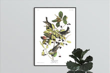 Load image into Gallery viewer, Black-Poll Warbler Print by John Audubon