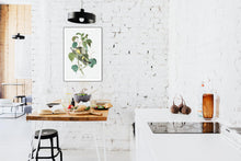 Load image into Gallery viewer, Hemlock Warbler Print by John Audubon