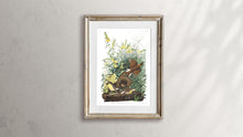 Load image into Gallery viewer, Meadow Lark Print by John Audubon