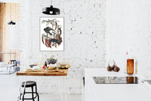 Load image into Gallery viewer, Fish Crow Print by John Audubon