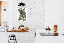Load image into Gallery viewer, Night Hawk Print by John Audubon