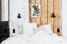 Load image into Gallery viewer, Night Hawk Print by John Audubon