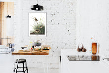 Load image into Gallery viewer, Sharp-Tailed Finch Print by John Audubon