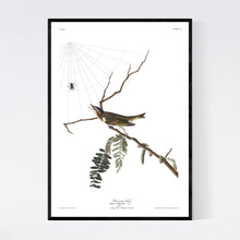 Load image into Gallery viewer, Red-Eyed Vireo Print by John Audubon