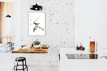 Load image into Gallery viewer, Red-Eyed Vireo Print by John Audubon