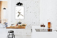 Load image into Gallery viewer, Red-Eyed Vireo Print by John Audubon