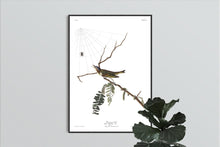 Load image into Gallery viewer, Red-Eyed Vireo Print by John Audubon