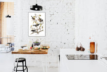Load image into Gallery viewer, Rusty Grakle Print by John Audubon