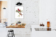 Load image into Gallery viewer, Cardinal Grosbeak Print by John Audubon