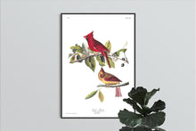 Load image into Gallery viewer, Cardinal Grosbeak Print by John Audubon