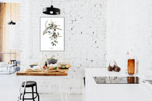 Load image into Gallery viewer, Carolina Titmouse Print by John Audubon