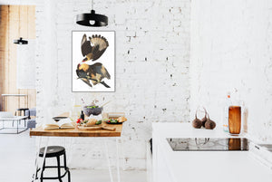 Brasilian Caracara Eagle Print by John Audubon
