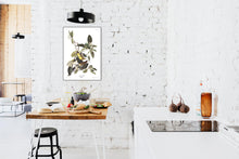 Load image into Gallery viewer, Palm Warbler Print by John Audubon