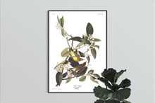 Load image into Gallery viewer, Palm Warbler Print by John Audubon