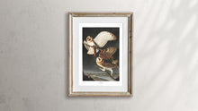 Load image into Gallery viewer, Barn Owl Print by John Audubon